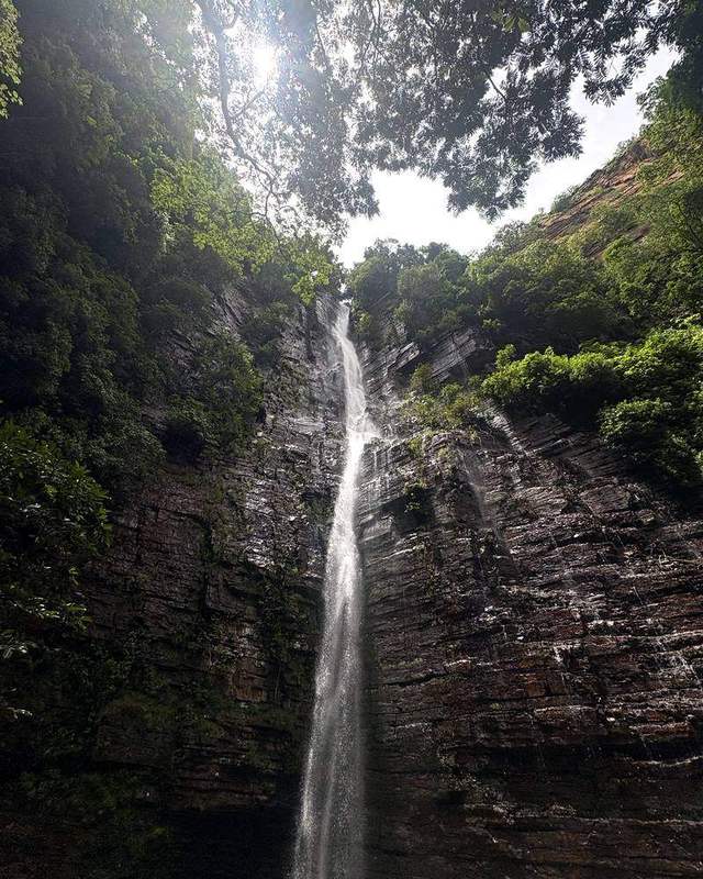 Cascada de Dindefelo cayendo por una pared de roca estratificada, rodeada de árboles y vegetación
