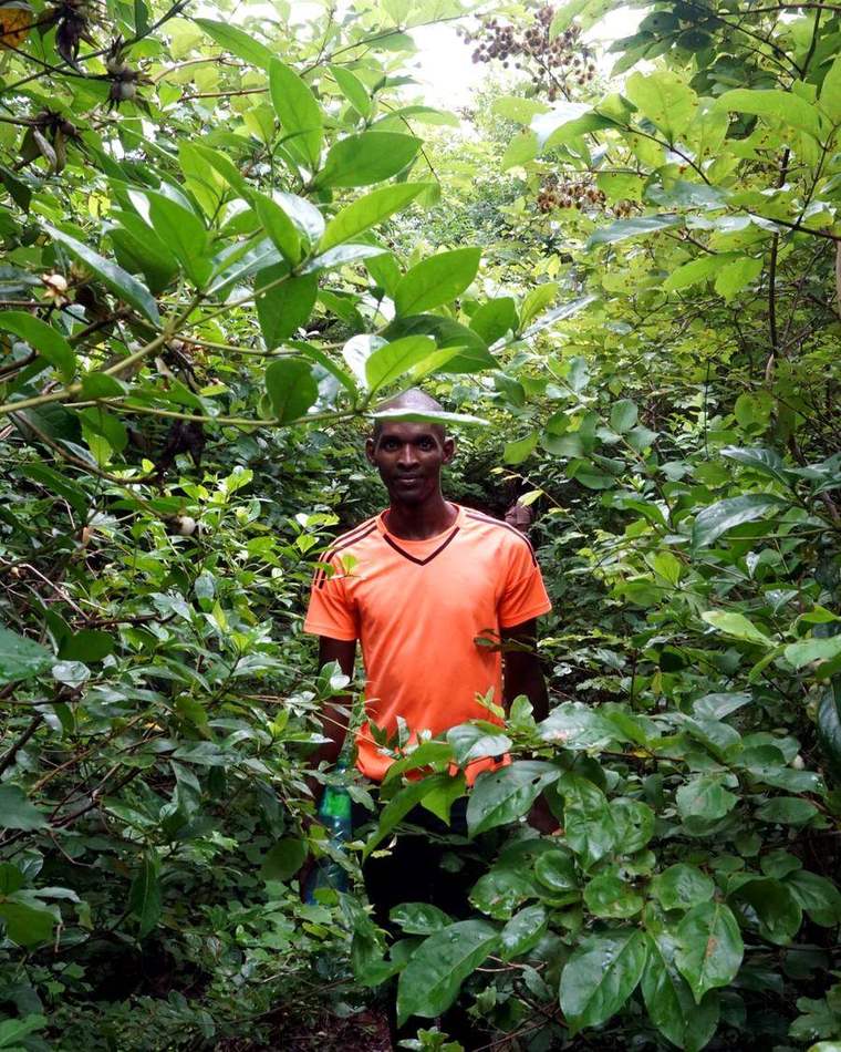Boubacar Diallo, Bouba, de pie y mirando a cámara con una camiseta naranja, rodeado de vegetación densa en el entorno de Dindefelo